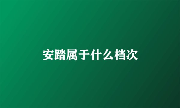 安踏属于什么档次
