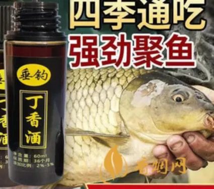 白酒钓鱼泡酒配方大全 丁香酒钓鱼配方大全？