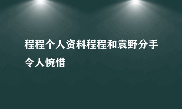 程程个人资料程程和袁野分手令人惋惜