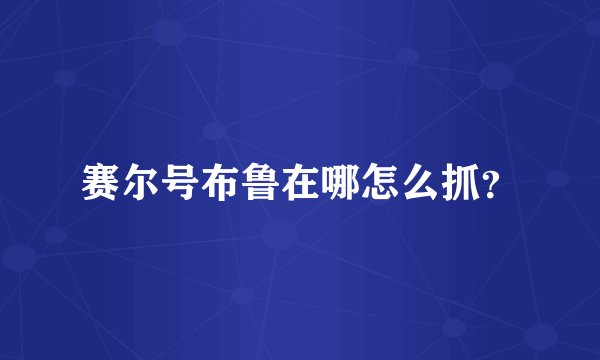 赛尔号布鲁在哪怎么抓？