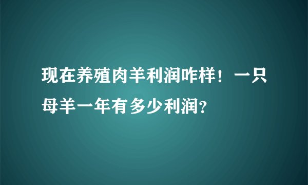 现在养殖肉羊利润咋样！一只母羊一年有多少利润？