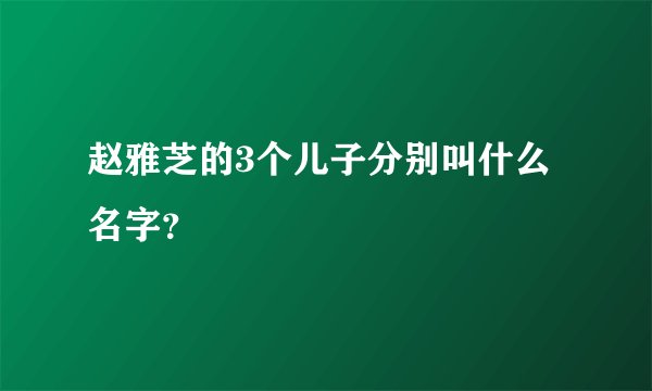 赵雅芝的3个儿子分别叫什么名字？