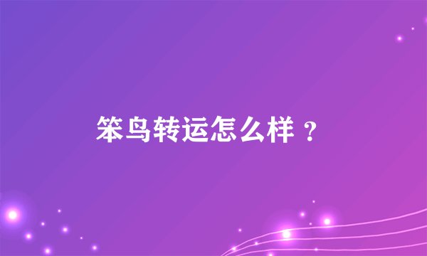 笨鸟转运怎么样 ？