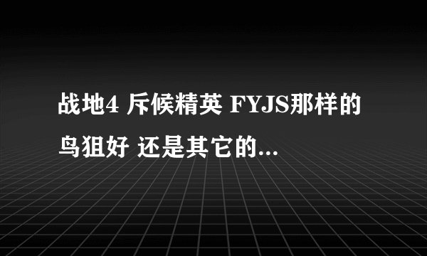 战地4 斥候精英 FYJS那样的鸟狙好 还是其它的普通单狙好？