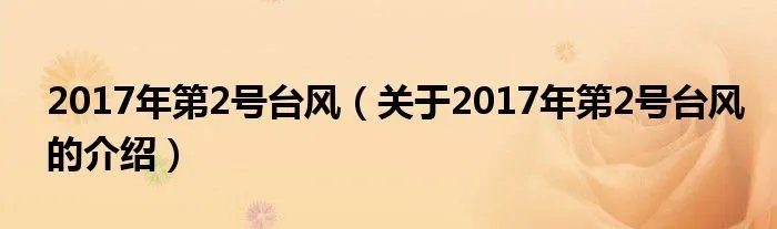 2017年第2号台风（关于2017年第2号台风的介绍）