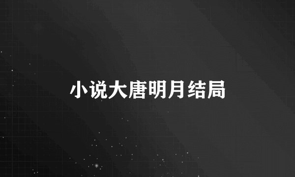 小说大唐明月结局