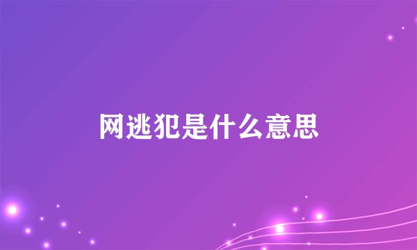 网逃犯是什么意思