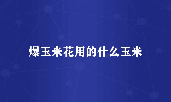 爆玉米花用的什么玉米
