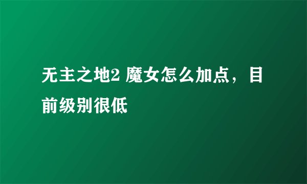 无主之地2 魔女怎么加点，目前级别很低
