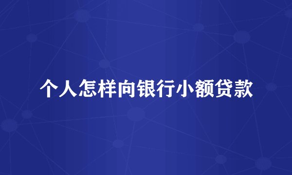 个人怎样向银行小额贷款