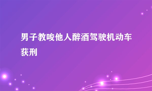 男子教唆他人醉酒驾驶机动车获刑