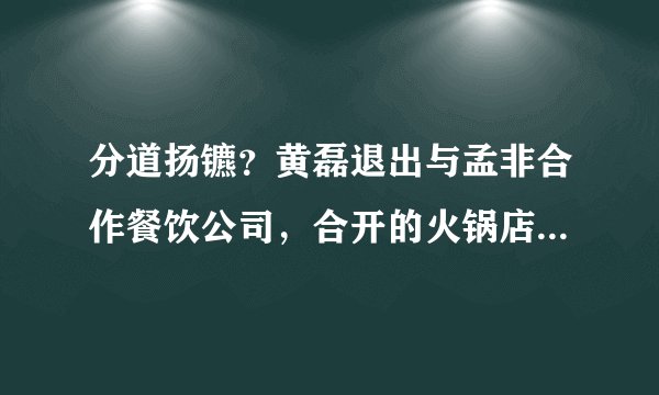 分道扬镳？黄磊退出与孟非合作餐饮公司，合开的火锅店也早已倒闭