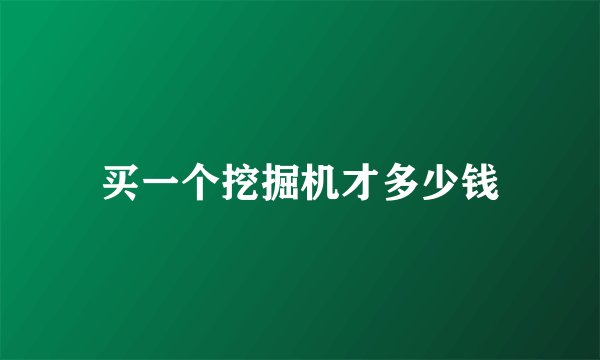 买一个挖掘机才多少钱