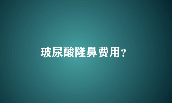 玻尿酸隆鼻费用？