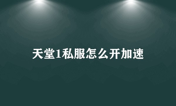 天堂1私服怎么开加速