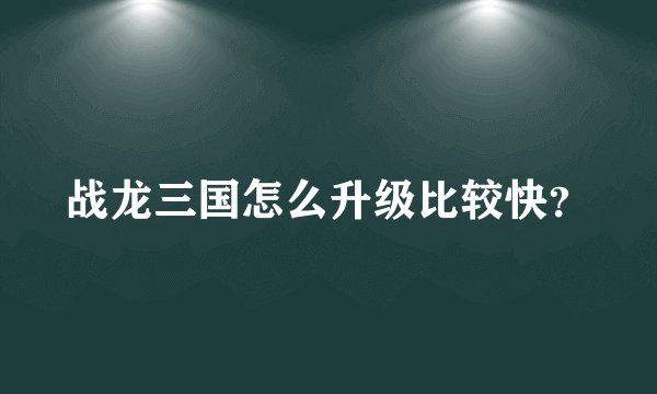 战龙三国怎么升级比较快？