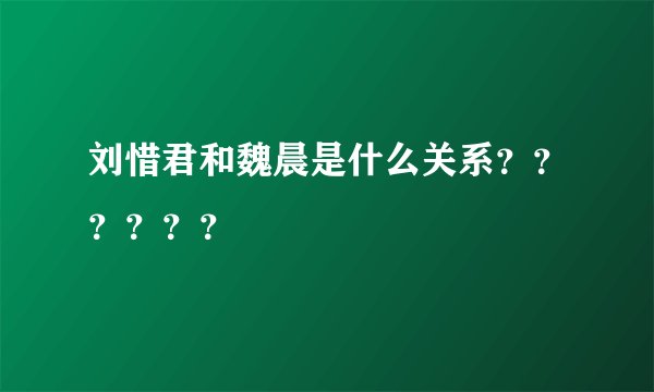 刘惜君和魏晨是什么关系？？？？？？
