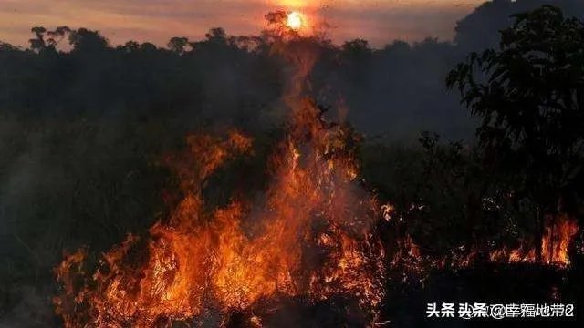 G7资助亚马孙雨林灭火,巴西总统为何严词拒绝?