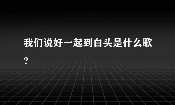 我们说好一起到白头是什么歌？