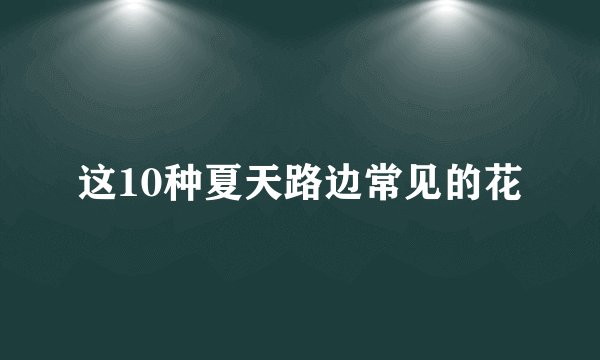 这10种夏天路边常见的花