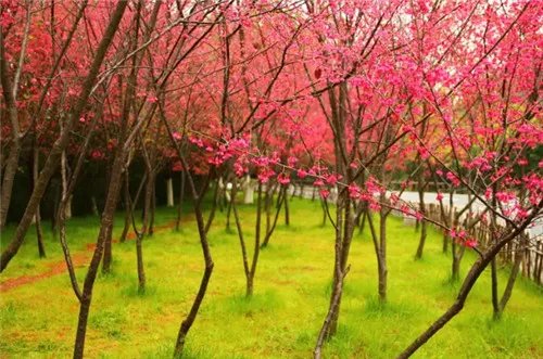 厦门婚纱照景点须知 那些不比景区差的绝佳摄影地