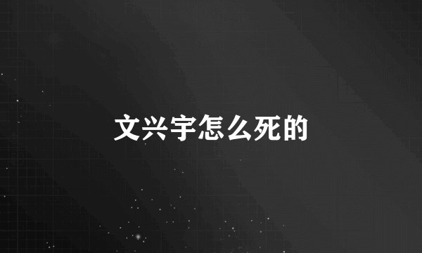 文兴宇怎么死的