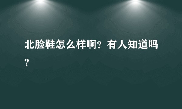 北脸鞋怎么样啊？有人知道吗?