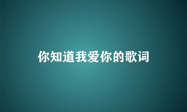 你知道我爱你的歌词