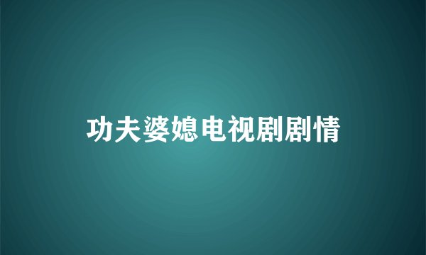 功夫婆媳电视剧剧情