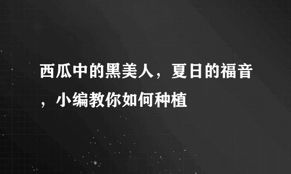 西瓜中的黑美人，夏日的福音，小编教你如何种植