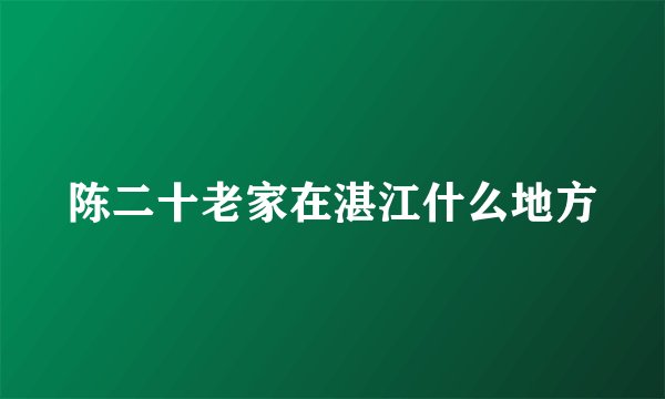 陈二十老家在湛江什么地方