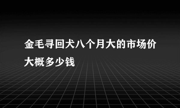 金毛寻回犬八个月大的市场价大概多少钱