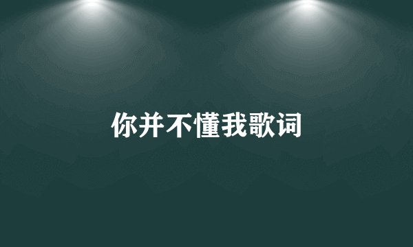 你并不懂我歌词