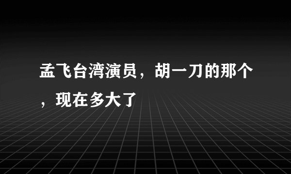 孟飞台湾演员，胡一刀的那个，现在多大了
