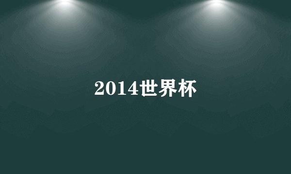 2014世界杯