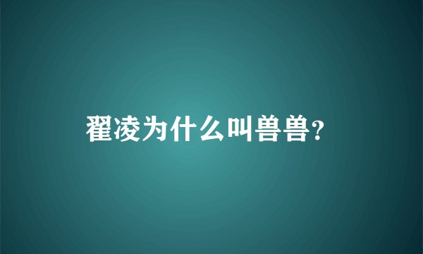 翟凌为什么叫兽兽？
