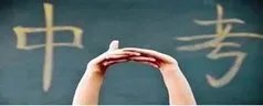 2010年陕西中考总分多少