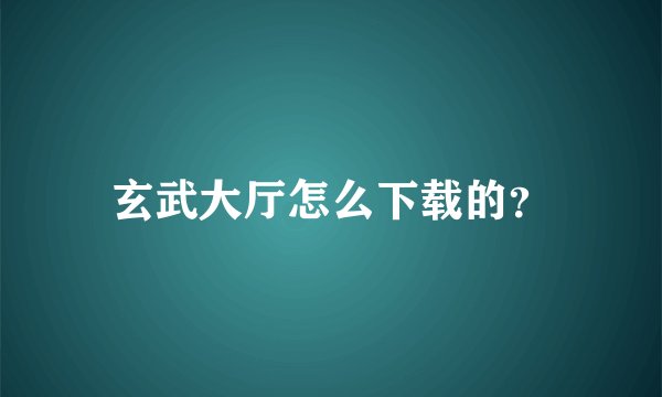 玄武大厅怎么下载的？