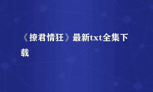 《撩君情狂》最新txt全集下载
