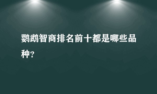 鹦鹉智商排名前十都是哪些品种?