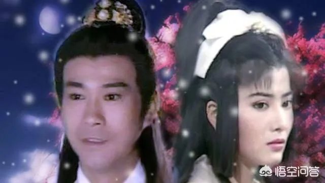 48岁功夫女星杨丽菁为何沦落成无戏可拍？