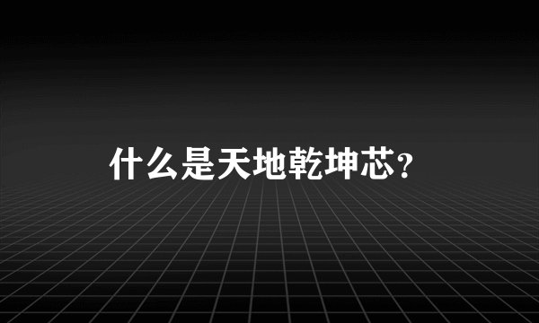 什么是天地乾坤芯?