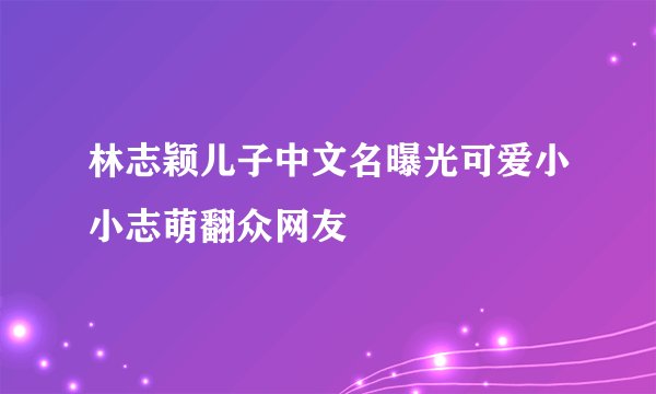 林志颖儿子中文名曝光可爱小小志萌翻众网友