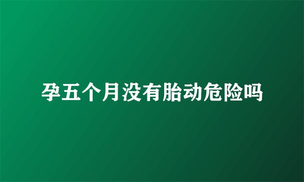 孕五个月没有胎动危险吗