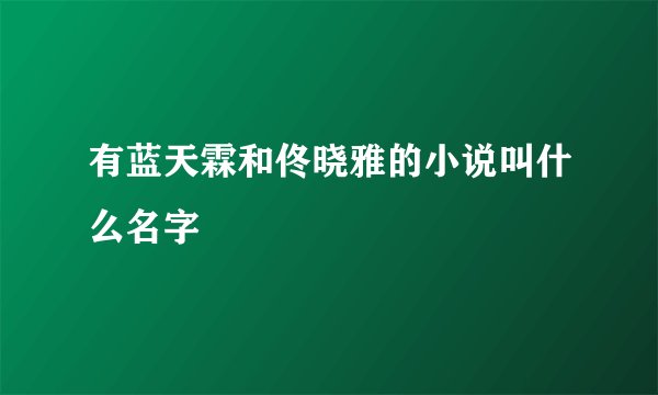 有蓝天霖和佟晓雅的小说叫什么名字