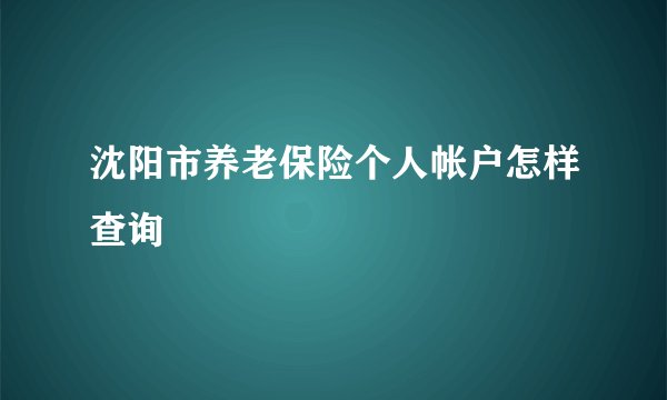 沈阳市养老保险个人帐户怎样查询