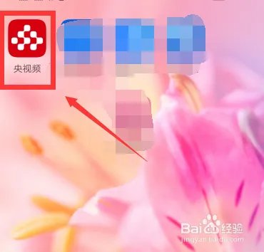 美育云端课堂直播怎么观看回放