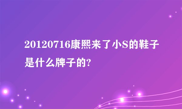 20120716康熙来了小S的鞋子是什么牌子的?