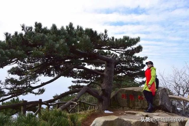 夏季出游避暑,有的喜欢在国内,有的喜欢出国。你感觉去哪里好?
