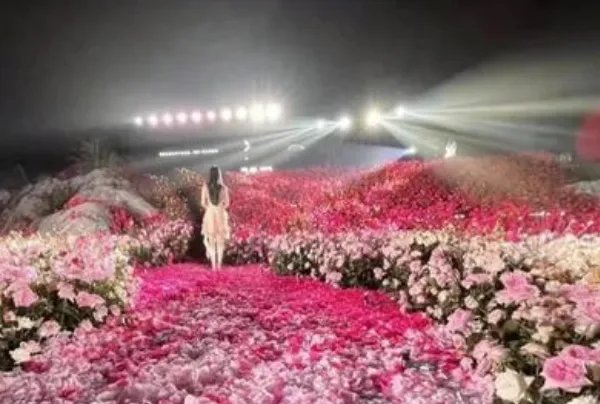 杭州一男子花费近30万摆花海求婚,你见过最豪华的求婚是什么?